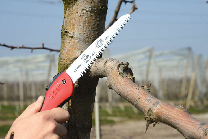 FELCO Set Schere Felco 2 und Säge Felco 600